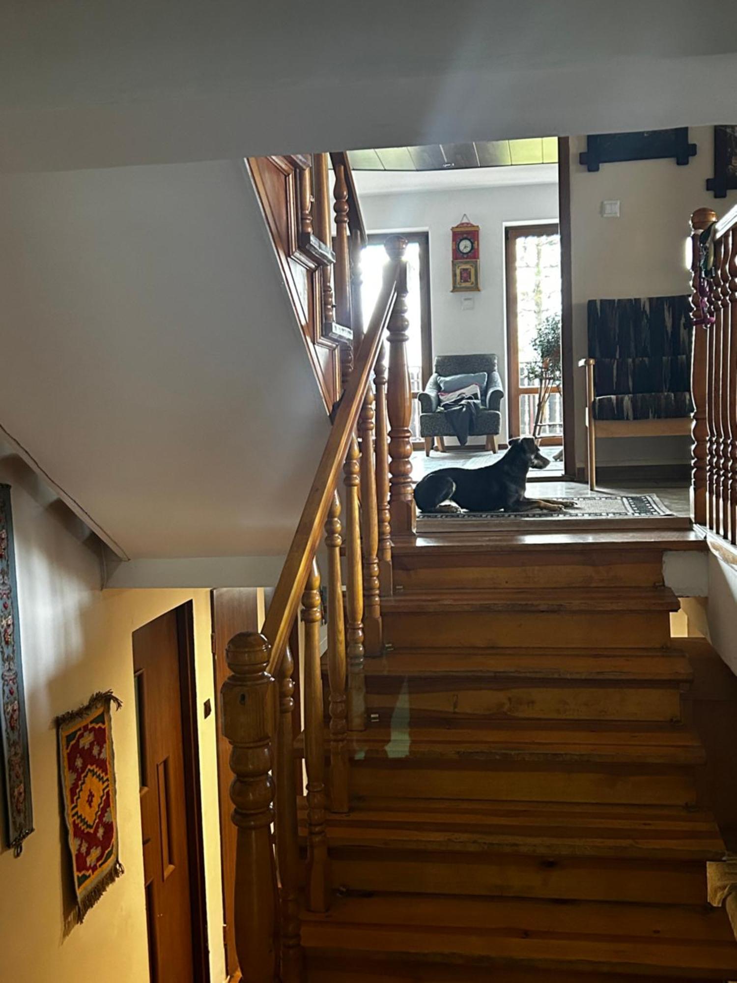 Willa Karolinka Stroza - Pet Friendly Myślenice Kültér fotó